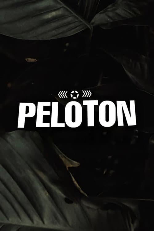 Season 5