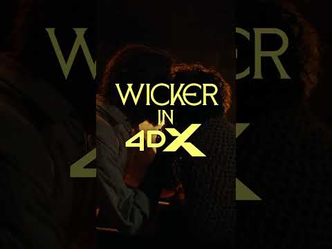 One Night With Wicker In 4DX